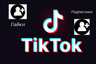 Раскрутка Tic Tok 100 подписчиков+200 лайков
