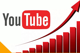 2000 просмотров Youtube Россия и СНГ, а ещё от 100 до 1000 лайков