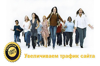 100 уникальных посетителей на Ваш сайт в течение 6 дней