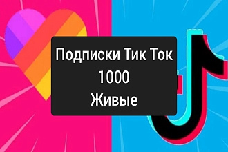 Подписчики в Тик Ток