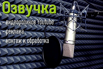 Озвучу ролики для Youtube, реклама, презентации