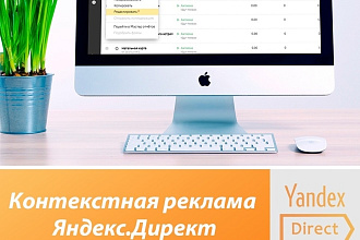 Контекстная реклама Яндекс. Директ