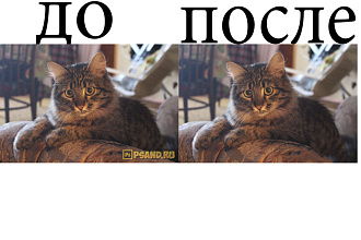 Уберу водяной знак с фото