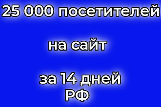 25 000 посетителей на сайт за 14 дней