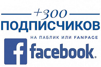 300 подписчиков на паблик FanPage, бизнес страницу Фейсбук