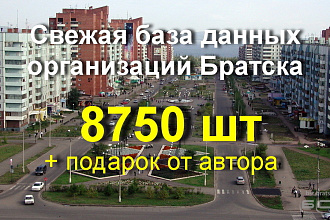 Свежая база данных организаций Братска