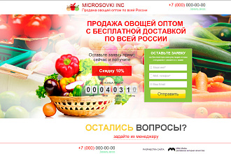 Создам лендинг на WordPress