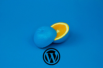 Создам сайт на WordPress быстро и недорого