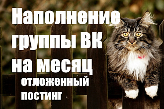 Отложенный постинг в группе VK. Наполнение контентом на месяц вперед