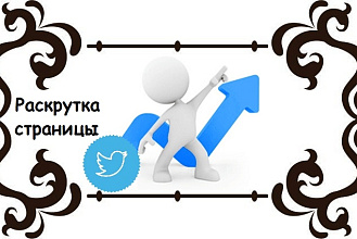 2000 подписчиков на аккаунт Twitter