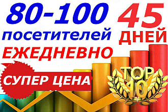 Предложение на 45 дней 80-100 посетителей ежедневно, трафик на сайт