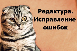 Редактура, исправление ошибок в тексте