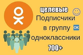Только целевые подписчики в одноклассниках 700