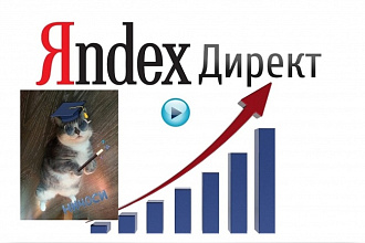 Качественная настройка рекламы в Y. Direct