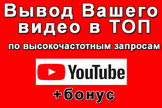 Ютуб видео - вывод в ТОП по высокочастотным запросам+бонус