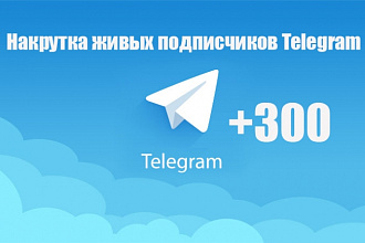 300 подписчиков на канал в Telegram