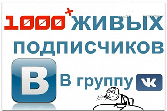 Добавлю 1000 живых участников в группу ВК