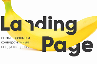 Копия Landing page под ключ. Установка админки в подарок