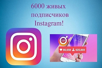 6000 инстаграм подписчиков