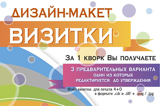 Создам дизайн визитки вектор