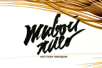 Разработаю Логотип