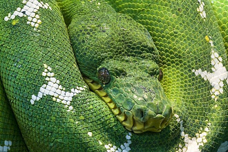 Программа на python