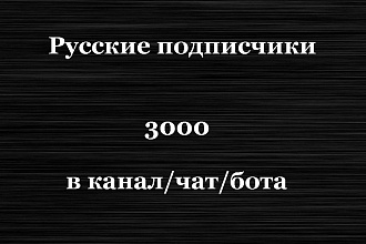Подписчики в телеграм. 3000 Русские подписчики на канал, чат