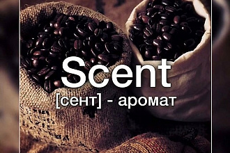 Переведу текст с английского на русский язык