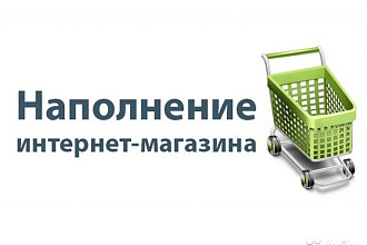 Качественное наполнение вашего магазина товаром