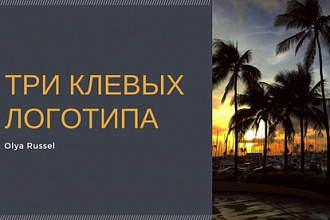 Создам логотип 3 варианта