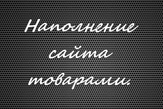 Наполнение сайта товаром