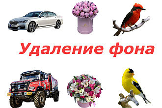 Удаление фона, обработаю фото для сайтов