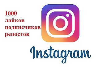 Подписчики в Instagram