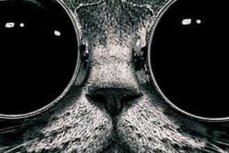 Напишу портрет животных. работаю с обычным карандашом