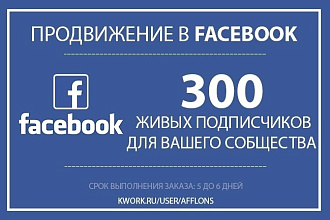 300 подписчиков в паблике на Facebook
