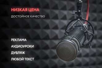 Дикторская озвучка, обработка звука, запись ролика под ключ