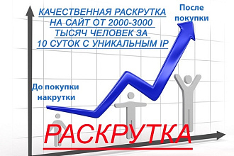 Раскрутка От 2000 до 3000 уникальных посещений на ваш сайт