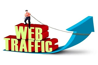 Привлечение 4000 посетителей в виде трафика на сайт