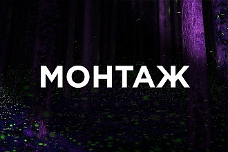 Смонтирую любое видео