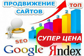 От 50 до 500 качественных посетителей в сутки на 30-45 дней