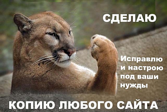 Сделаю копию любого сайта
