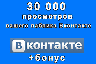 Обеспечу 30000 посещений в паблик Вконтакте для статистики+супер бонус