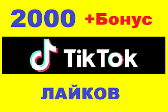 2000 Лайков живыми людьми на ваше видео в Тик Ток + Обучающий курс