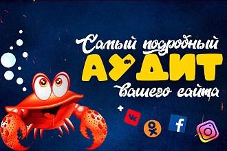 Аудит вашего сайта за 24 часа + рекомендации