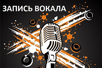 Запись вокала, спою вашу песню