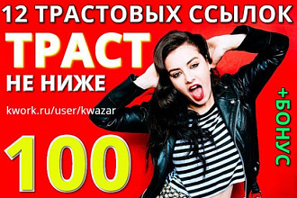 12 вечных трастовых ссылок с траст не ниже 100, ручная работа+ бонус