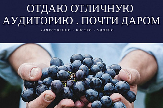 Размещу твит или ретвит на аккаунте с более чем 80К подписчиков