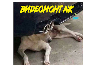 Видеомонтаж