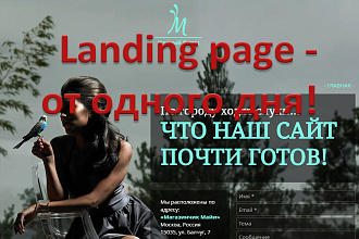 Создам landing page - одностраничный сайт - на WIX