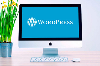 Создание сайта на WordPress + SEO и настройка рекламы бесплатно